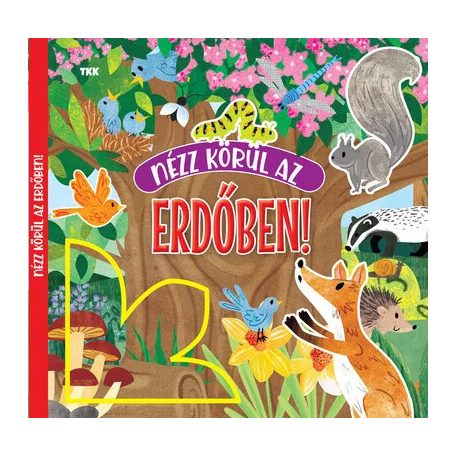 Nézz körül az erdőben!