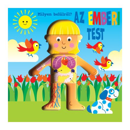 Milyen belülről - Az emberi test