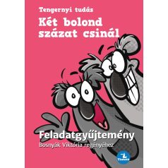   Két bolond százat csinál - Feladatgyűjtemény Bosnyák  Viktória regényéhez