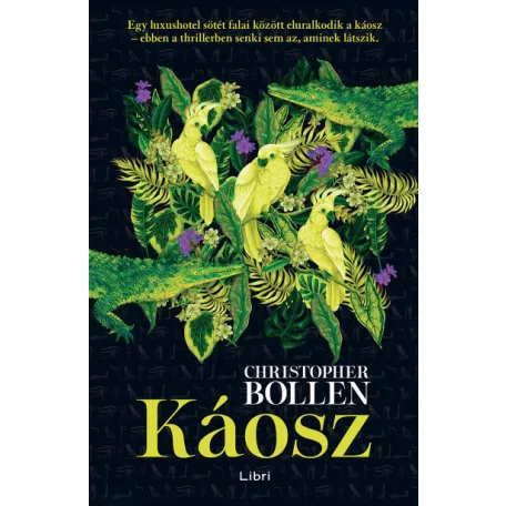 Káosz