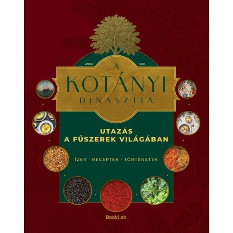 A KOTÁNYI DINASZTIA