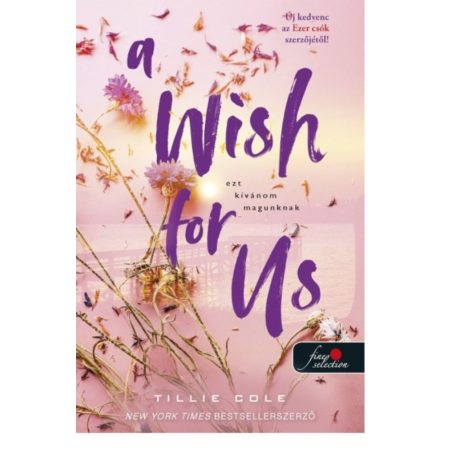 A Wish For Us - Ezt kívánom magunknak