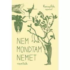 Nem mondtam nemet