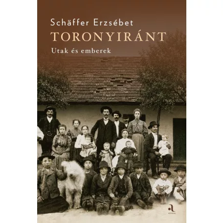 Toronyiránt