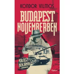 Budapest Novemberben