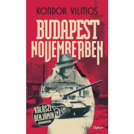 Budapest Novemberben