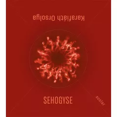 Sehogyse