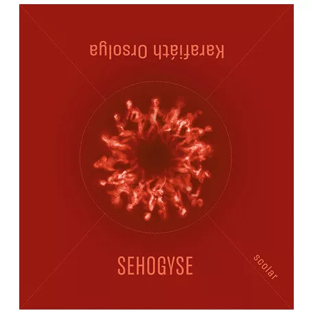 Sehogyse